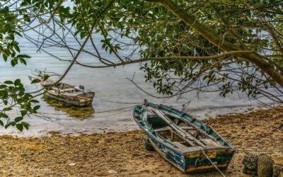 III domenica di Pasqua 2022