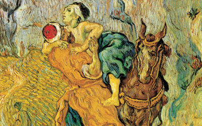 XV Domenica del Tempo Ordinario