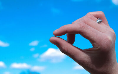 XXVII Domenica del Tempo Ordinario