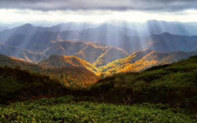 XXXIII Domenica del Tempo Ordinario