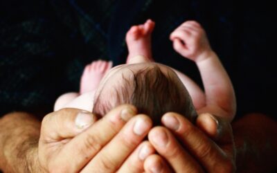 IV Domenica di Avvento