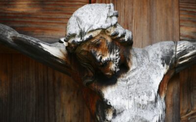 Domenica delle Palme e della Passione del Signore