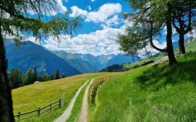 V Domenica di Pasqua