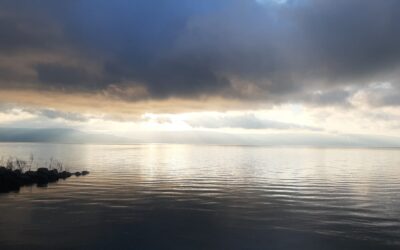 XI Domenica del Tempo Ordinario