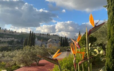 XII Domenica del Tempo Ordinario