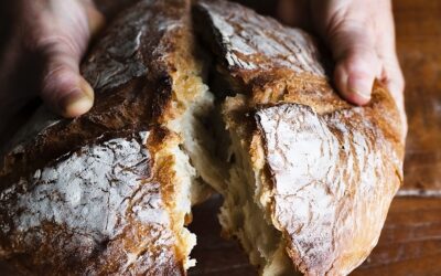 San Francesco e la condivisione del pane