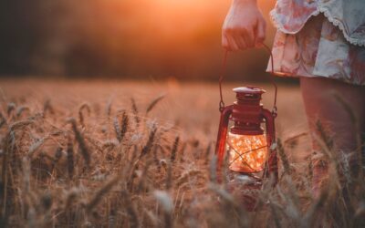 XXXII Domenica del Tempo Ordinario