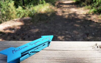 IV Domenica del Tempo Ordinario