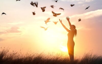 VI Domenica del Tempo Ordinario