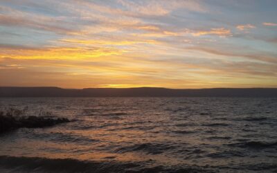 Solennità della Santissima Trinità