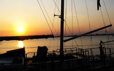 V Domenica del Tempo Ordinario