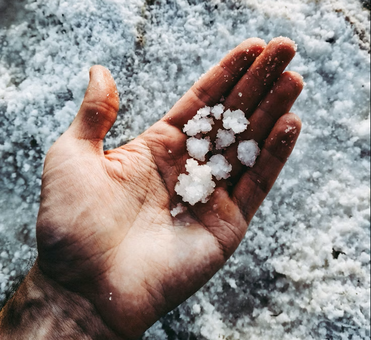 V Domenica del Tempo Ordinario