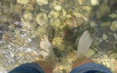 Battesimo del Signore