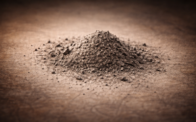 Con addosso la cenere